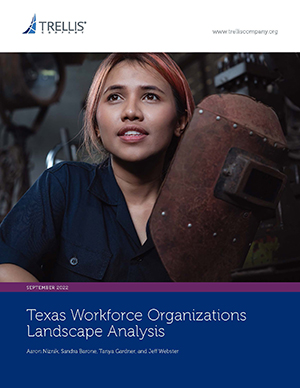Texas Workforce Organizations Landscape Analysis