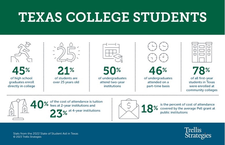 infographic representing Texas college students statistics